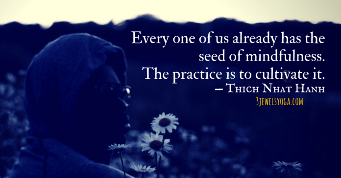 3jewels.seedsofmindfulness1